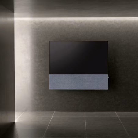 Canvas HiFi CANVAS SOLO 65'' inkl. TV Halter 