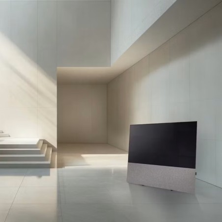 Canvas HiFi CANVAS SOLO 65'' inkl. TV Halter 