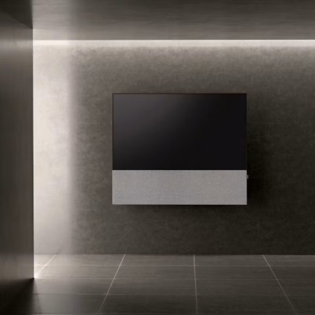 Canvas HiFi CANVAS SOLO 65'' inkl. TV Halter 