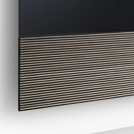 Canvas HiFi CANVAS SOLO 65'' inkl. TV Halter 