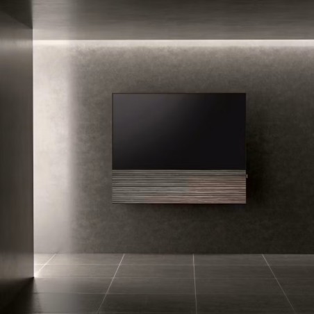 Canvas HiFi CANVAS SOLO 65'' inkl. TV Halter 