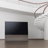 Canvas HiFi CANVAS SOLO 65'' inkl. TV Halter 