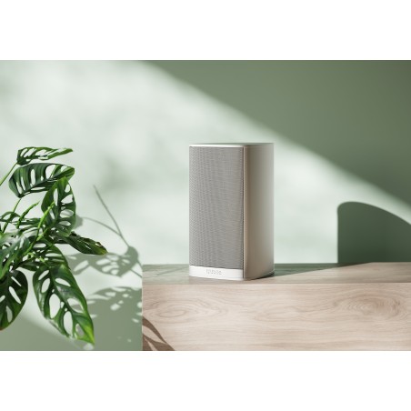 Piega Premium 301Gen2