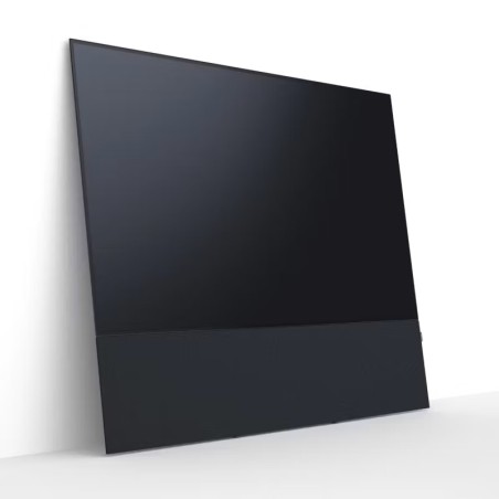 Canvas HiFi CANVAS SOLO 83'' inkl. TV Halter 