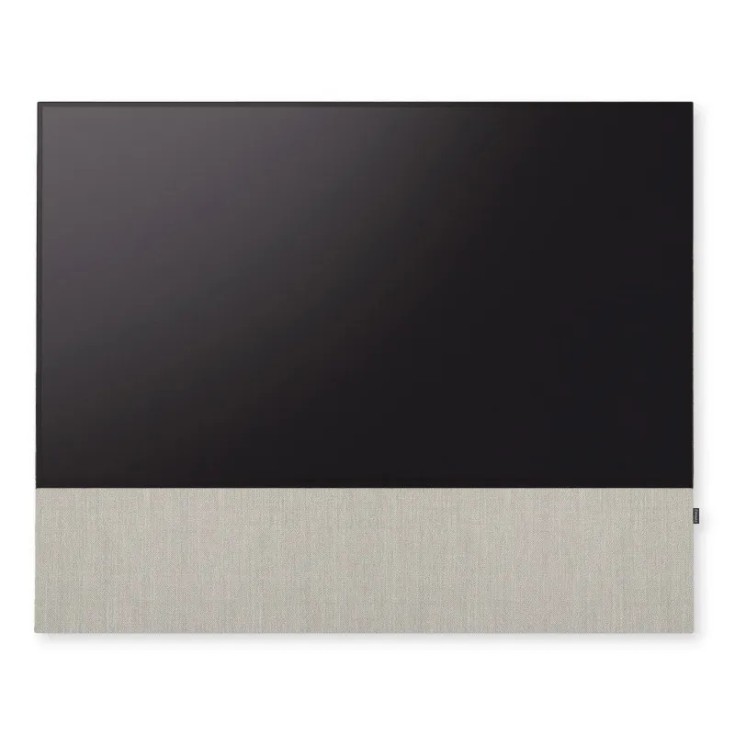 Canvas HiFi CANVAS SOLO 83'' inkl. TV Halter 