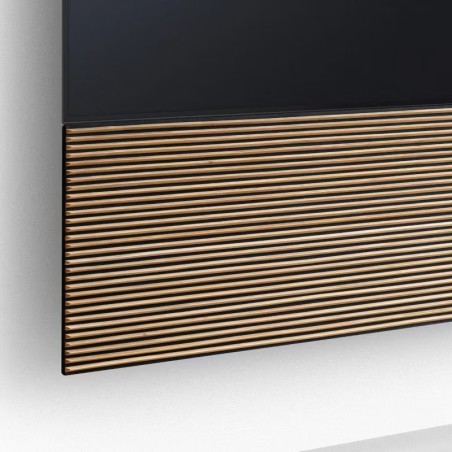 Canvas HiFi CANVAS SOLO 83'' inkl. TV Halter 