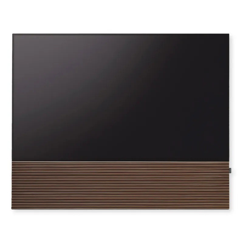 Canvas HiFi CANVAS SOLO 83'' inkl. TV Halter 