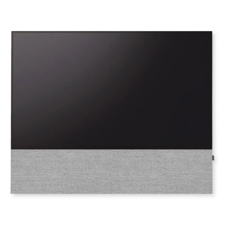 Canvas HiFi CANVAS SOLO 85'' inkl. TV Halter 