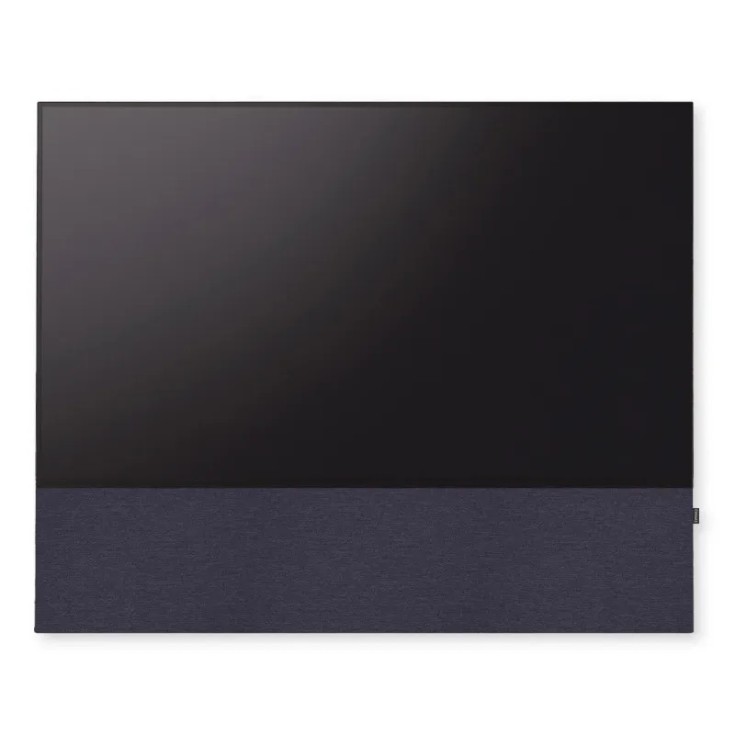 Canvas HiFi CANVAS SOLO 85'' inkl. TV Halter 