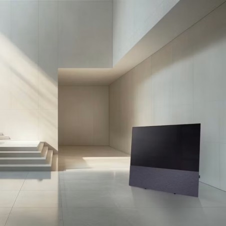 Canvas HiFi CANVAS SOLO 85'' inkl. TV Halter 