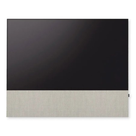 Canvas HiFi CANVAS SOLO 85'' inkl. TV Halter 