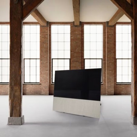 Canvas HiFi CANVAS SOLO 85'' inkl. TV Halter 