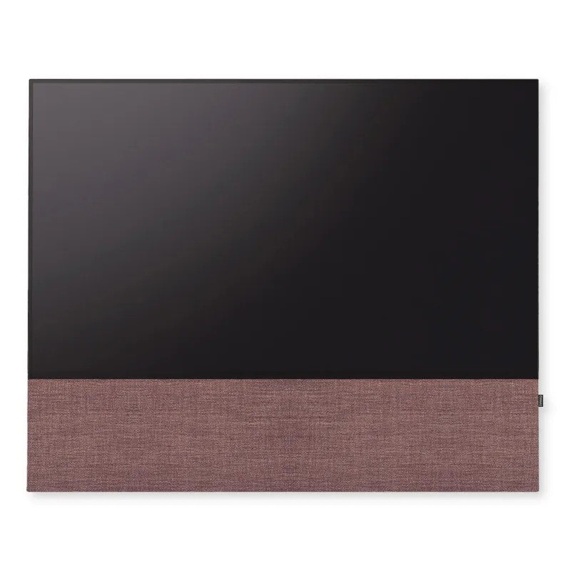 Canvas HiFi CANVAS SOLO 85'' inkl. TV Halter 