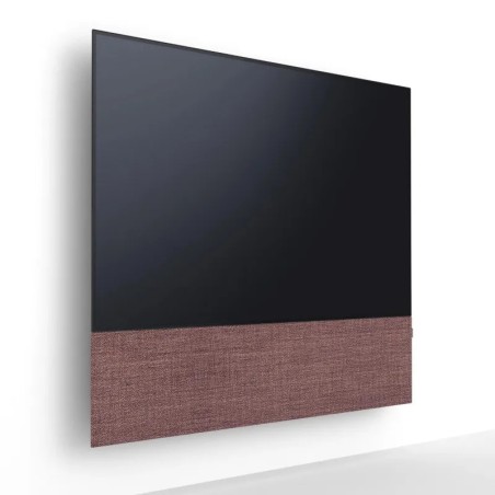 Canvas HiFi CANVAS SOLO 85'' inkl. TV Halter 