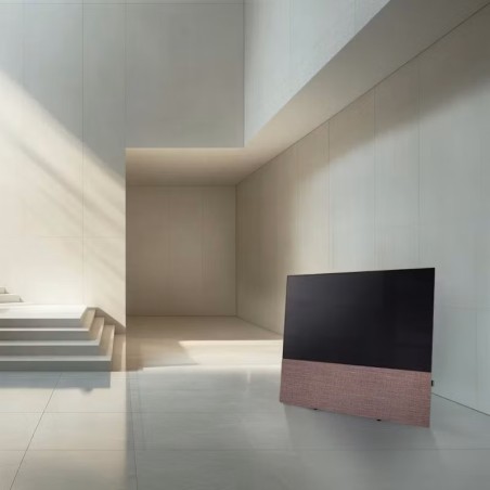 Canvas HiFi CANVAS SOLO 85'' inkl. TV Halter 