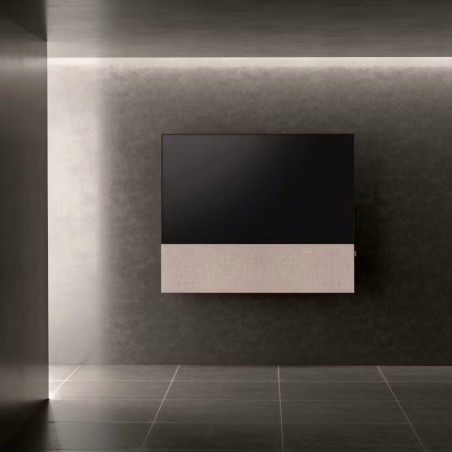 Canvas HiFi CANVAS SOLO 85'' inkl. TV Halter 