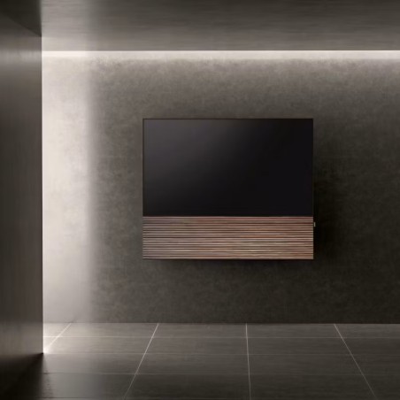 Canvas HiFi CANVAS SOLO 85'' inkl. TV Halter 