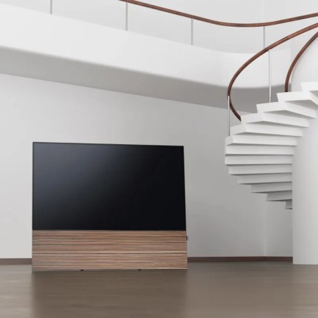 Canvas HiFi CANVAS SOLO 85'' inkl. TV Halter 