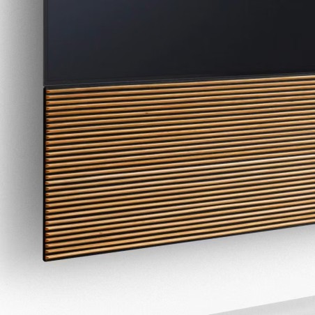 Canvas HiFi CANVAS SOLO 85'' inkl. TV Halter 