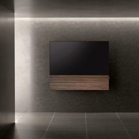 Canvas HiFi CANVAS SOLO 85'' inkl. TV Halter 