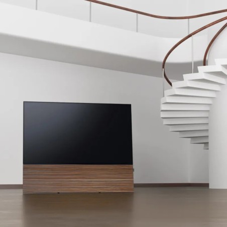 Canvas HiFi CANVAS SOLO 85'' inkl. TV Halter 