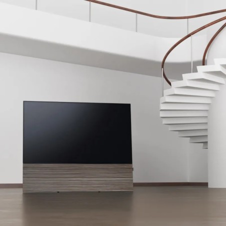 Canvas HiFi CANVAS SOLO 85'' inkl. TV Halter 