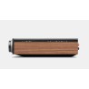 Cambridge Audio EVO 300